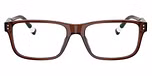 Shiny Transparent Brown