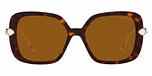 Havana / Tortoise / Polarized Brown