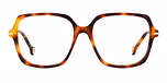 BROWN HAVANA