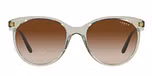 TRANSPARENT LIGHT GREEN / Brown gradient