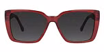 Red / Gray Polarised Lens
