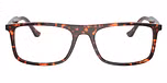 Havana Red Tortoiseshell