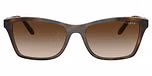 Top Havana/Light Brown / Brown Gradient