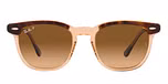 HAVANA ON TRANSPARENT BROWN / havana / brown gradient polarized
