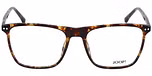 BLUISH BROWN