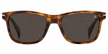 BROWN HORN / GREY