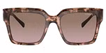 Rose Tortoise / Pink Gradient Brown