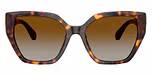 Havana / Tortoise / Brown Gradient Polarized