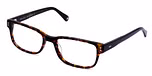 BROWN / TORT