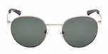 SHINY PALE GOLD / SHINY PALE GOLD / GREEN POLARIZED