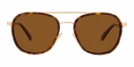 Gold - Tortoise / Brown Polar / Polarized
