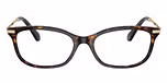 Dark Havana / Brown