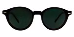Tortoise / Green / Green Lens
