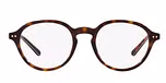 Shiny Dark Havana