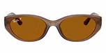 Transparent Brown / Brown / Dark Brown Polarized