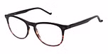BLK/TORT