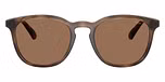 Shiny Dark Havana / Dark Brown