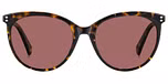 HAVANA / VIOLET POLARIZED