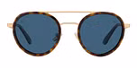 Gold - Tortoise / Blue Polar / Polarized