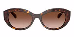 Dark Havana / Brown / Gradient Brown