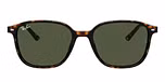 TORTOISE / havana / g-15 green