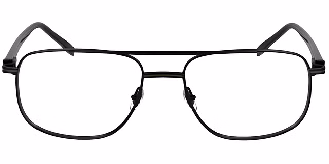 Lacoste - L2302