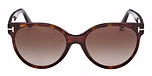 DARK HAVANA / DARK HAVANA / GRADIENT SMOKE