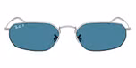 Silver / Silver / Polarized Blue