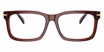 Brown Transparent
