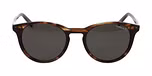 BROWN MEDIUM MATT / Polarized
