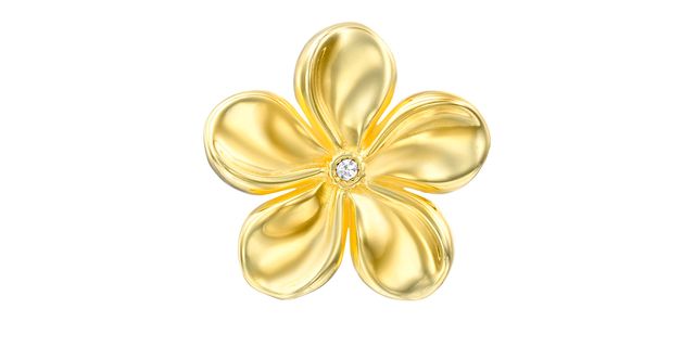 CLOOZZ - Magic golden flower