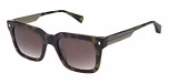 GLOSS KHAKI TORT / GRADUATED
