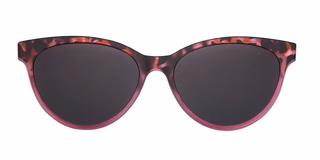 Halstrom - CL 3077 - Sunglasses Clip-on for Halstrom