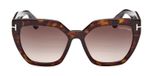 DARK HAVANA / GRADIENT ROVIEX