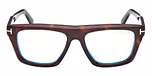 DARK HAVANA / DARK HAVANA