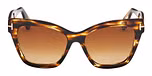 COLOURED HAVANA / COLOURED HAVANA / GRADIENT BROWN