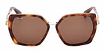 DARK HAVANA / SHINY PALE GOLD / BROWN