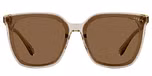 Transparent Brown / Dark Brown