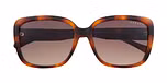 Dark oak tort • Brown grad (Cat 3)
