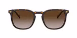 DARK HAVANA/brown gradient