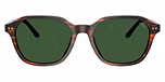 Shiny Striped Brown / Bottle Green