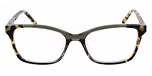 TOKYO TORTOISE / GREEN 