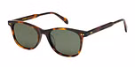 Tort with Green Lens