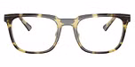 Olive Tortoise