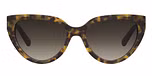 HAVANA (BROWN SHADED GRADIENT)