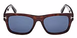 DARK HAVANA / DARK HAVANA / BLUE