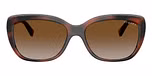 Brown Havana / Brown / Grey Gradient Brown Polarized