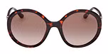 DARK HAVANA / DARK HAVANA / GRADIENT BROWN