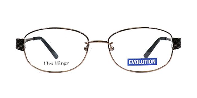 Evolution - EV1119