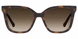 HAVANA 2 (BROWN SHADED / GRADIENT)